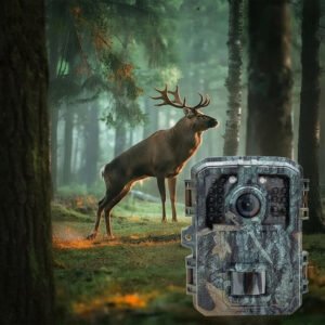 Mini Trail Camera with Infrared LEDs and Motion Detection