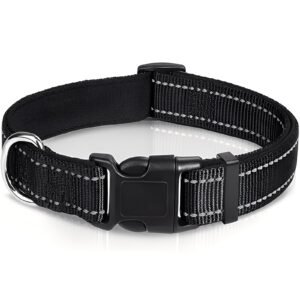 Adjustable Nylon Dog Collar with Clip Buckle