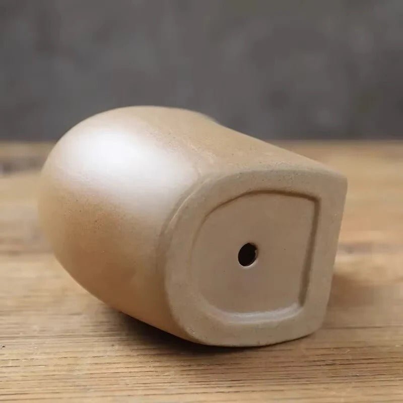 Animal Shaped Ceramic Pot