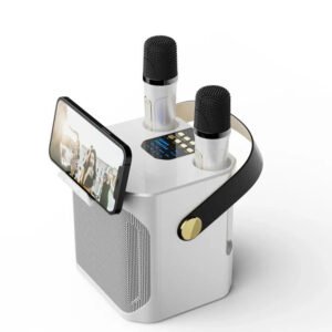 Portable Bluetooth Karaoke Speaker with 360 Degree Sound