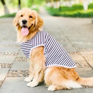 Large Breed Dog Shirt with Breathable Cotton Fabric