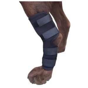 Dog Leg Support Brace with Adjustable Straps