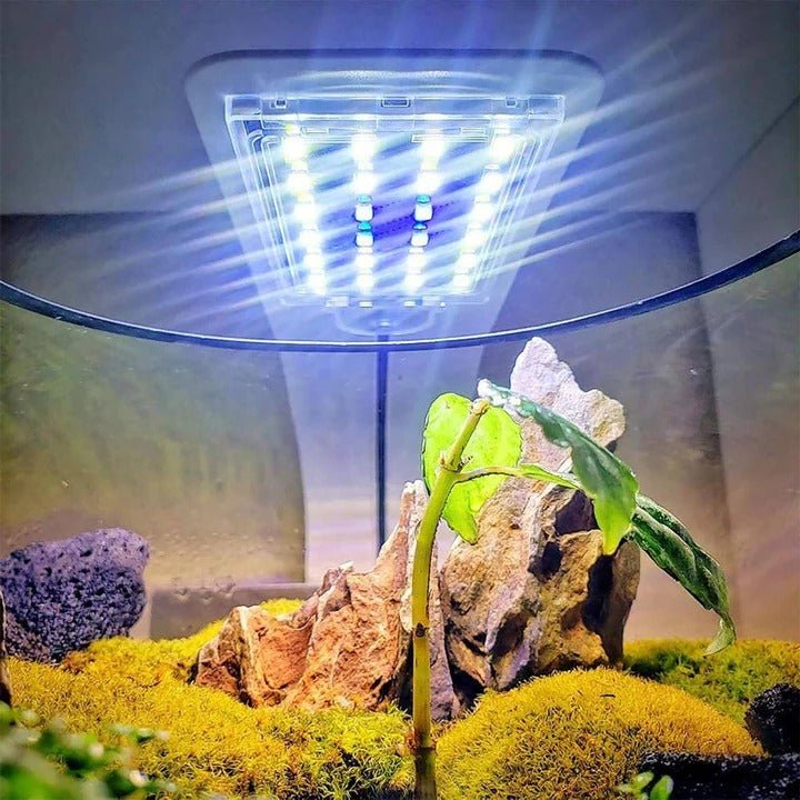 Slim LED Aquarium Light for Fish Tanks and Plants