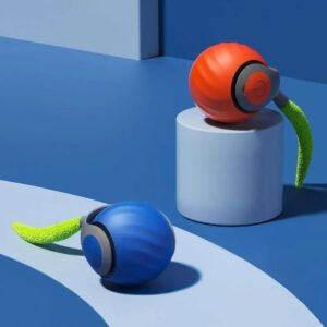 Cat Toys with Tail Design for Indoor Play, 2 Pack Set