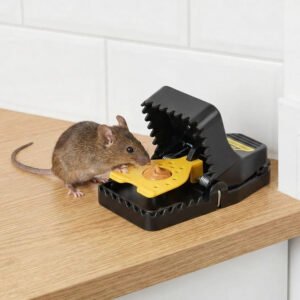 Reusable Snap Mouse Trap 4 Pack with No Touch Release
