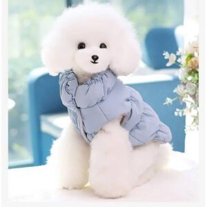 Winter Jacket with Integrated Leash Ring for Dog and Cat