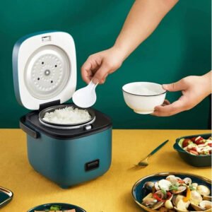 Portable Electric Rice Cooker