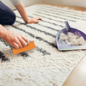 Upholstery Pet Hair Removal Tool for Cars and Furniture