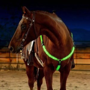 LED Light Up Breast Collar for Horses